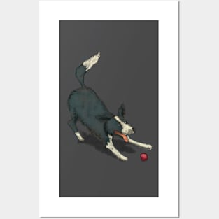 Border Collie Posters and Art